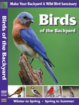 cover image of Birds of the Backyard: Winter in to Spring